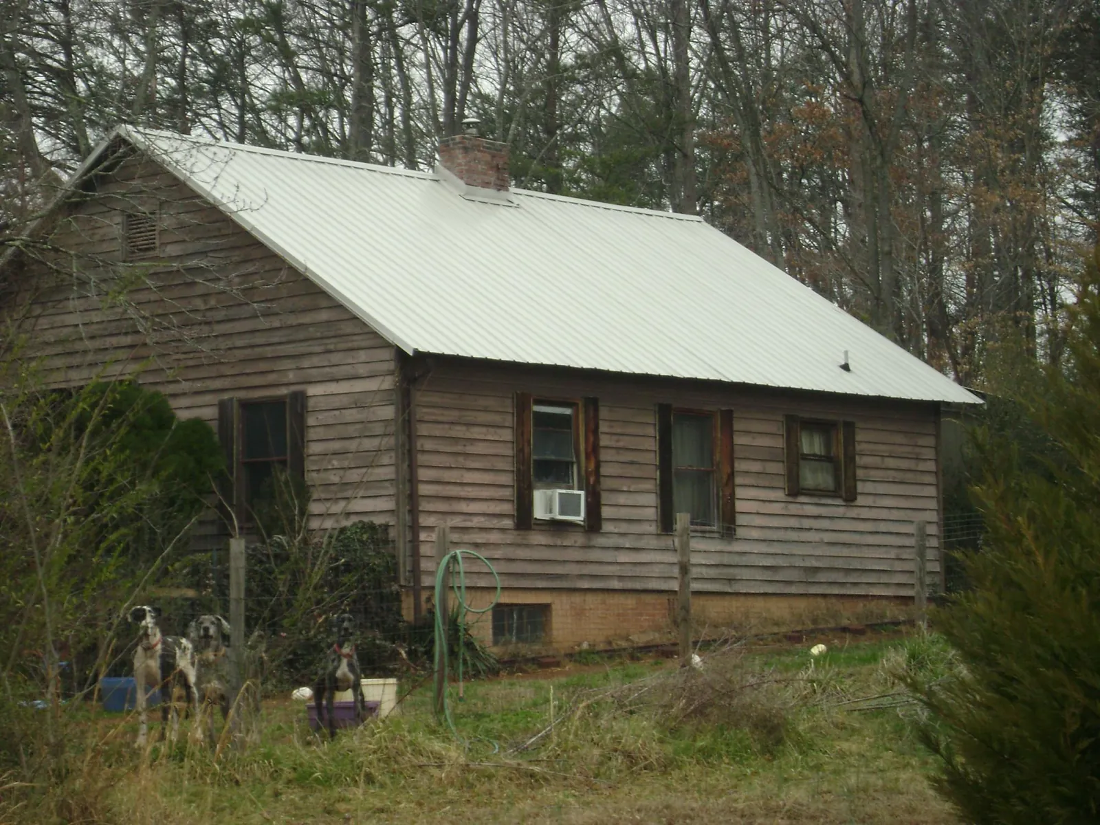 White metal roof on an old wood sided farmhouse, from a Asphalt Shingle Roof Repair job in Coburn